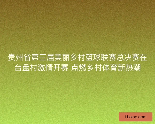贵州省第三届美丽乡村篮球联赛总决赛在台盘村激情开赛 点燃乡村体育新热潮 贵州省第三届美丽乡村篮球联赛总决赛在台盘村激情开赛 点燃乡村体育新热潮