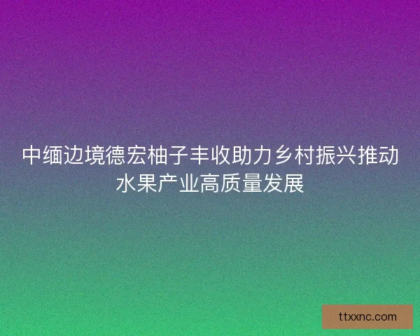 中缅边境德宏柚子丰收助力乡村振兴推动水果产业高质量发展