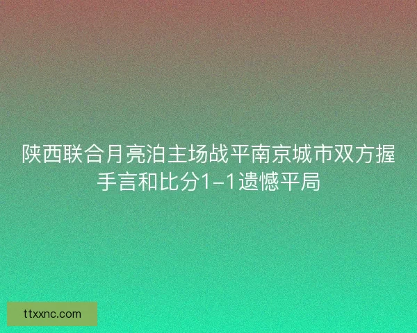 陕西联合月亮泊主场战平南京城市双方握手言和比分1-1遗憾平局