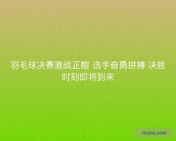 羽毛球决赛激战正酣 选手奋勇拼搏 决胜时刻即将到来