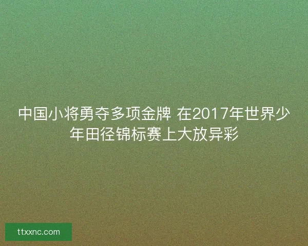 中国小将勇夺多项金牌 在2017年世界少年田径锦标赛上大放异彩 中国小将勇夺多项金牌 在2017年世界少年田径锦标赛上大放异彩