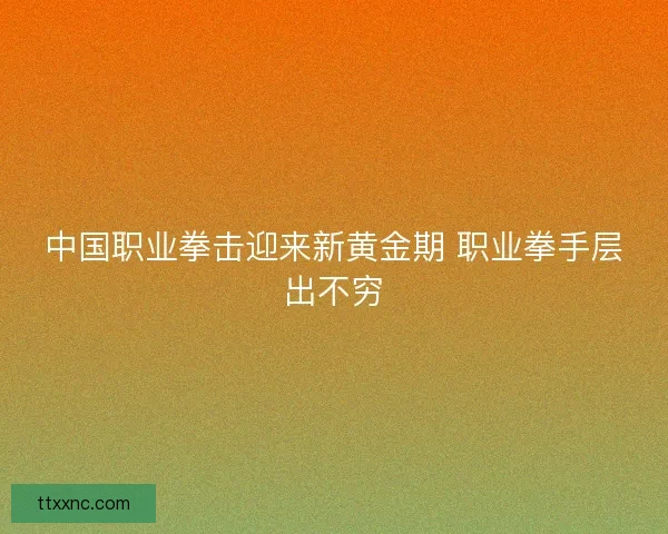 中国职业拳击迎来新黄金期 职业拳手层出不穷 中国职业拳击迎来新黄金期 职业拳手层出不穷